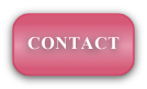 Viva Videography Contact