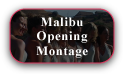 Malibu Wedding Opening Montage